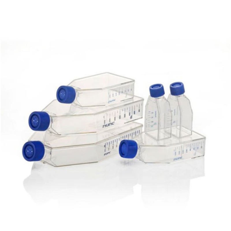 Purpose and Function of Cell Culture Flasks