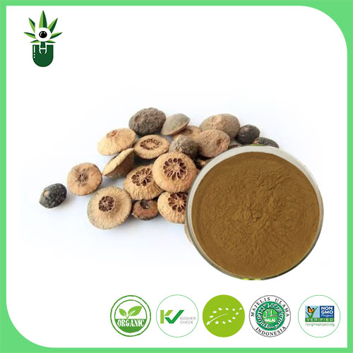 Plant Extracts: Nature’s Powerhouse in Modern Wellness and Industry