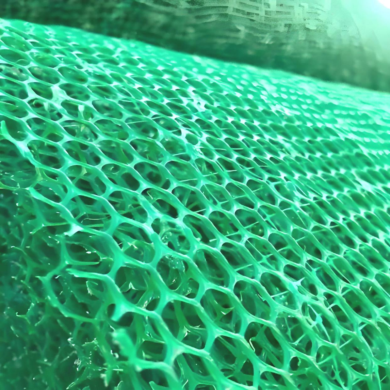 PP Geotextile Export: Unlocking Global Market Opportunities