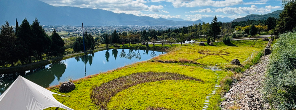 Hidden Gems in Lijiang: Uncover the City's Best-Kept Secrets