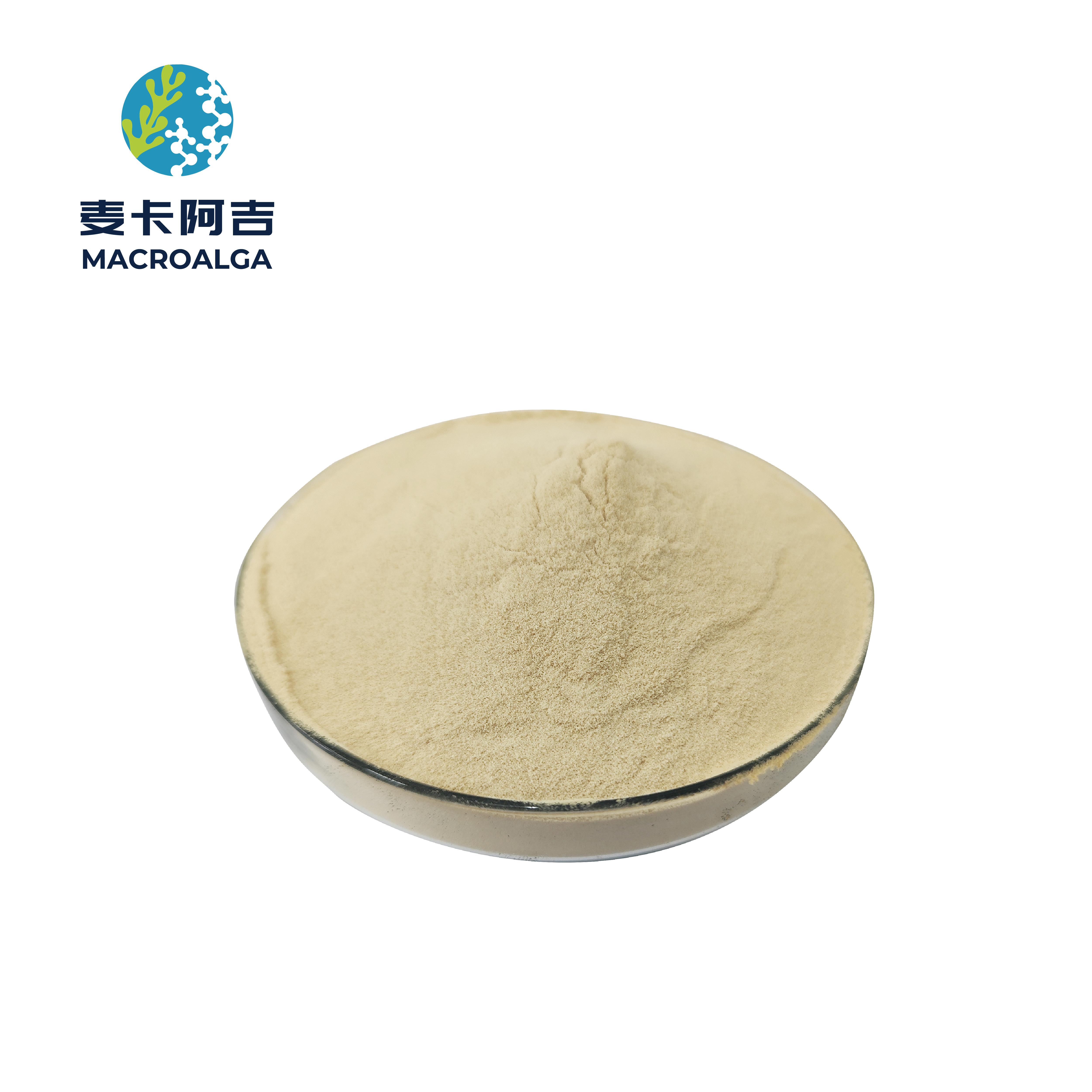 Reliable Protein Hydrolysate Supplier for Premium Ingredients and Consistent Quality